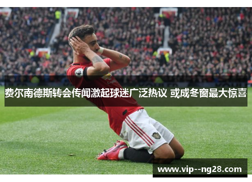 费尔南德斯转会传闻激起球迷广泛热议 或成冬窗最大惊喜 费尔南德斯转会传闻激起球迷广泛热议 或成冬窗最大惊喜
