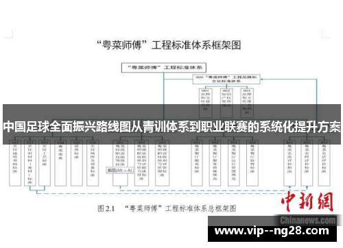 中国足球全面振兴路线图从青训体系到职业联赛的系统化提升方案