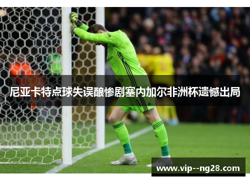 尼亚卡特点球失误酿惨剧塞内加尔非洲杯遗憾出局