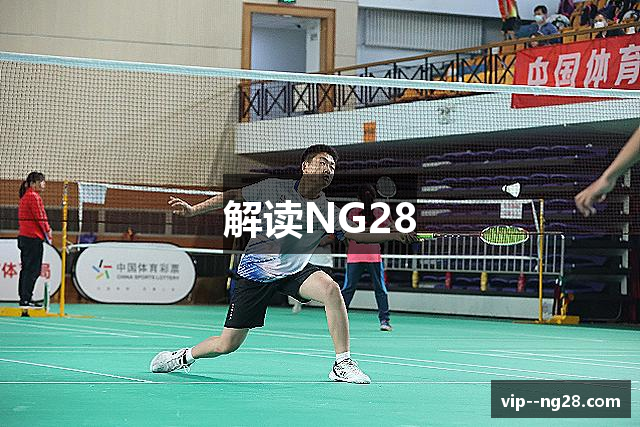 解读NG28